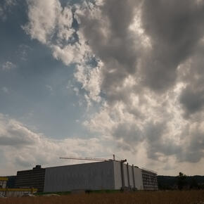green_1196.jpg