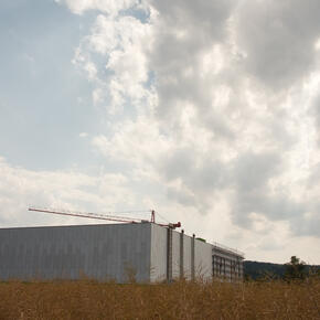 green_1430.jpg