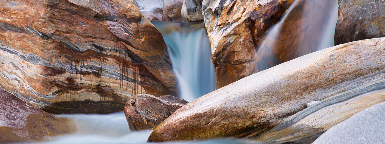 61. SMG Forum Neue Wege