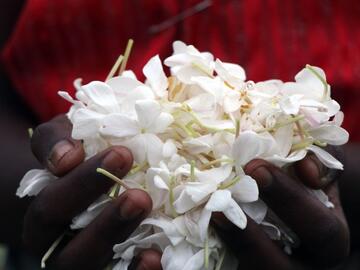 bild_jahrbuch_-kalender_natural_together_jasmine.jpeg