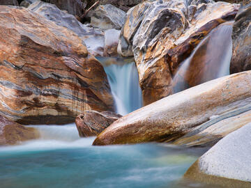 61. SMG Forum Neue Wege